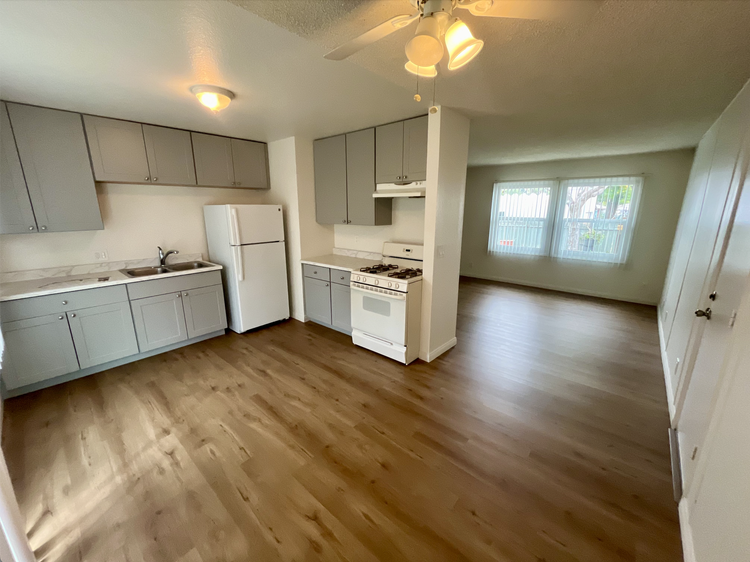 Apartment Kitchen Renovation